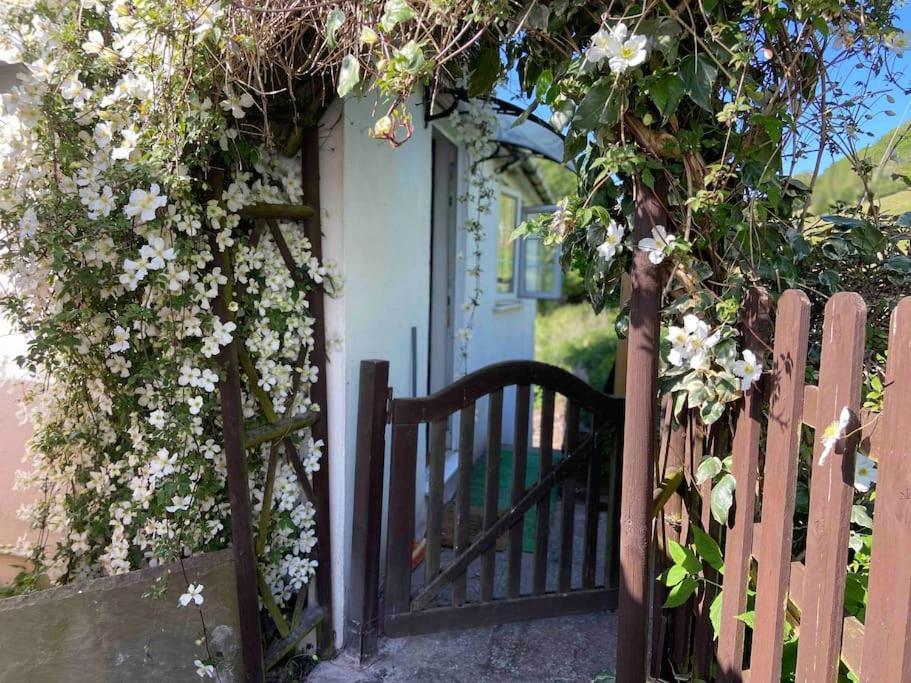 Вилла Couples Getaway, With Mountain Views/Dog Friendly Крикхауэлл Экстерьер фото